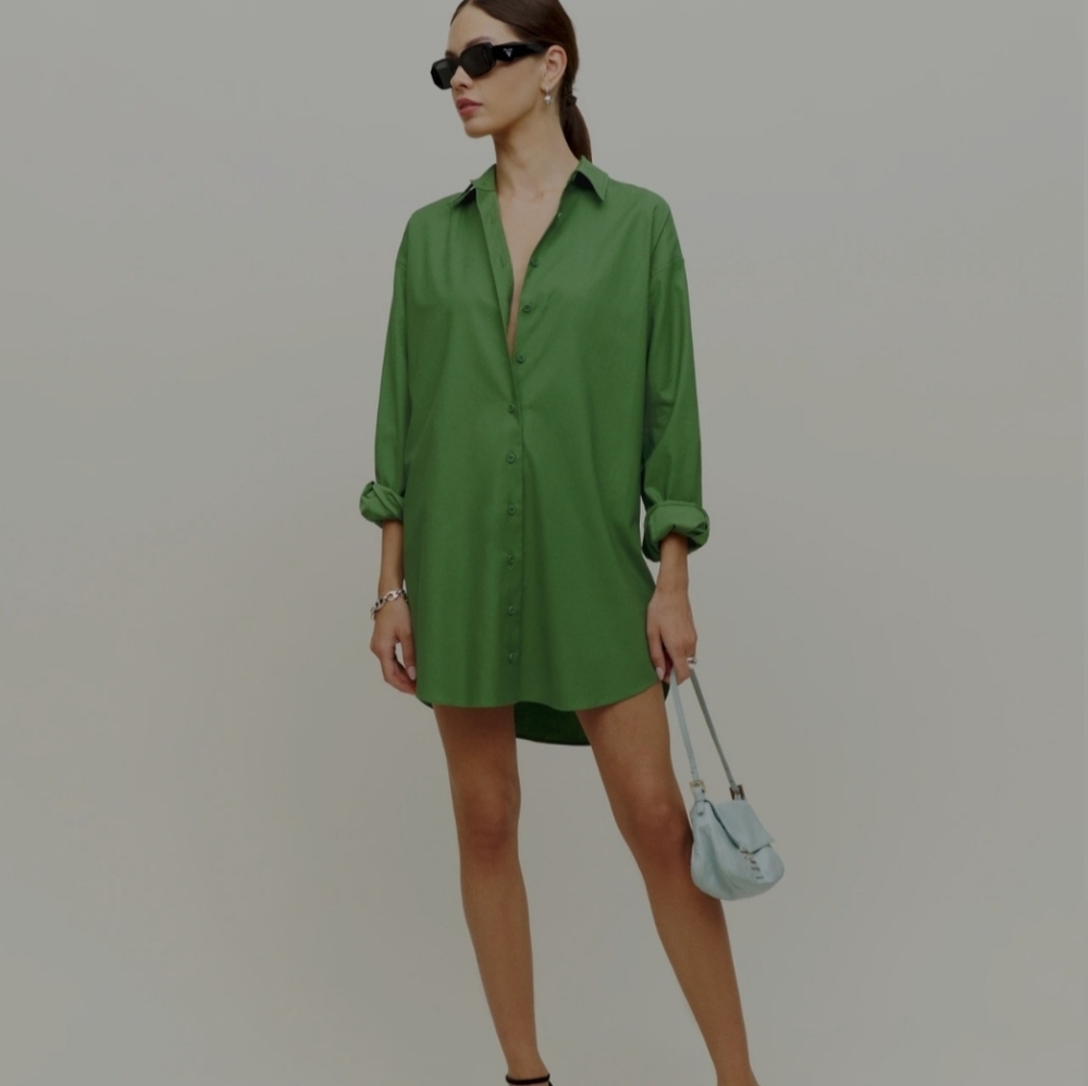 Reformation Mariette shirt dress